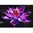 Use 'view image' in your browser to see full size image