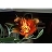 Use 'view image' in your browser to see full size image