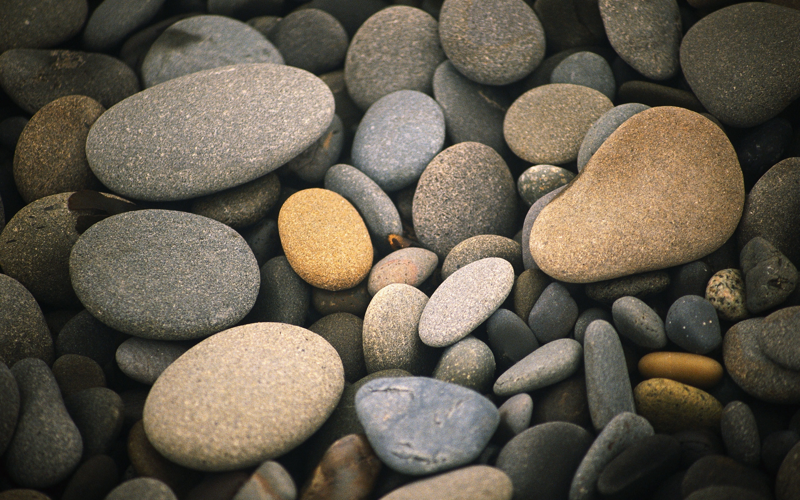 Use 'view image' in your browser to see full size image