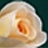 Use 'view image' in your browser to see full size image