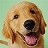 Use 'view image' in your browser to see full size image
