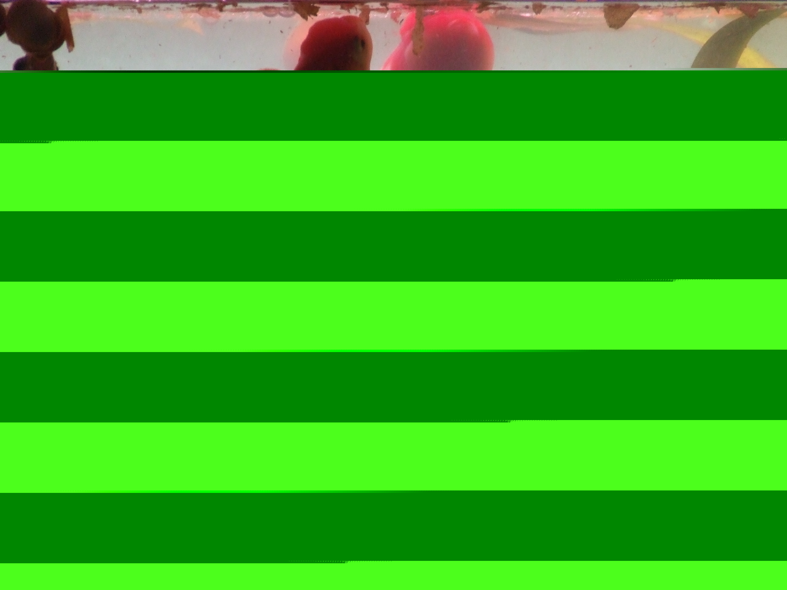 Use 'view image' in your browser to see full size image