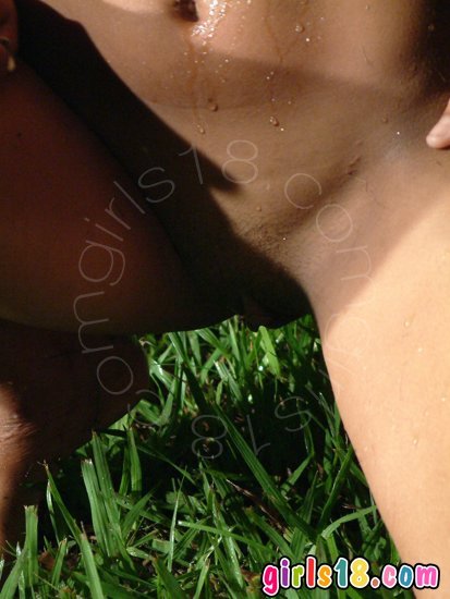 Use 'view image' in your browser to see full size image