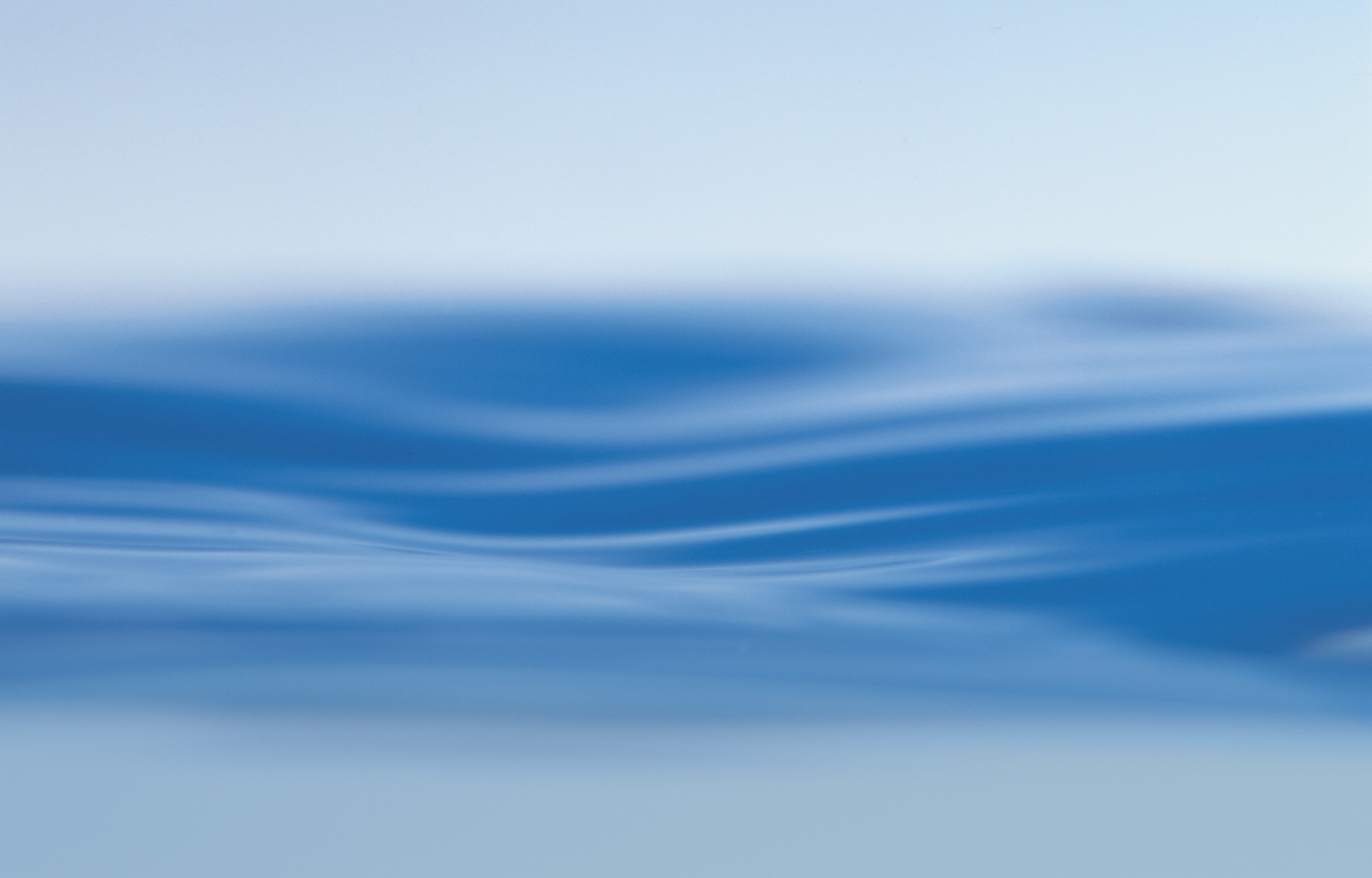Use 'view image' in your browser to see full size image
