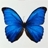 Use 'view image' in your browser to see full size image
