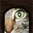 Use 'view image' in your browser to see full size image