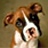 Use 'view image' in your browser to see full size image