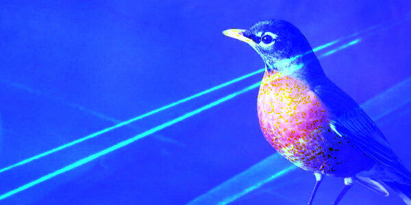A protein found in robins’ eyes has all the hallmarks of a magnetoreceptor & could help birds navigate using the Earth’s magnetic fields. The research revealed that the protein fulfills several predictions of one of the leading quantum-based theories for how avian magnetoreception might work…