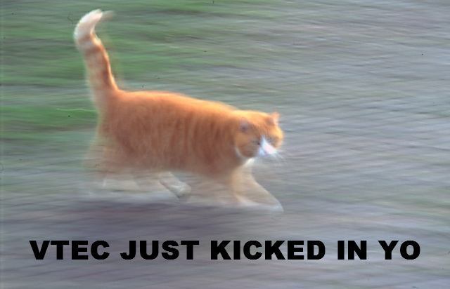 Use 'view image' in your browser to see full size image