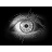 Use 'view image' in your browser to see full size image