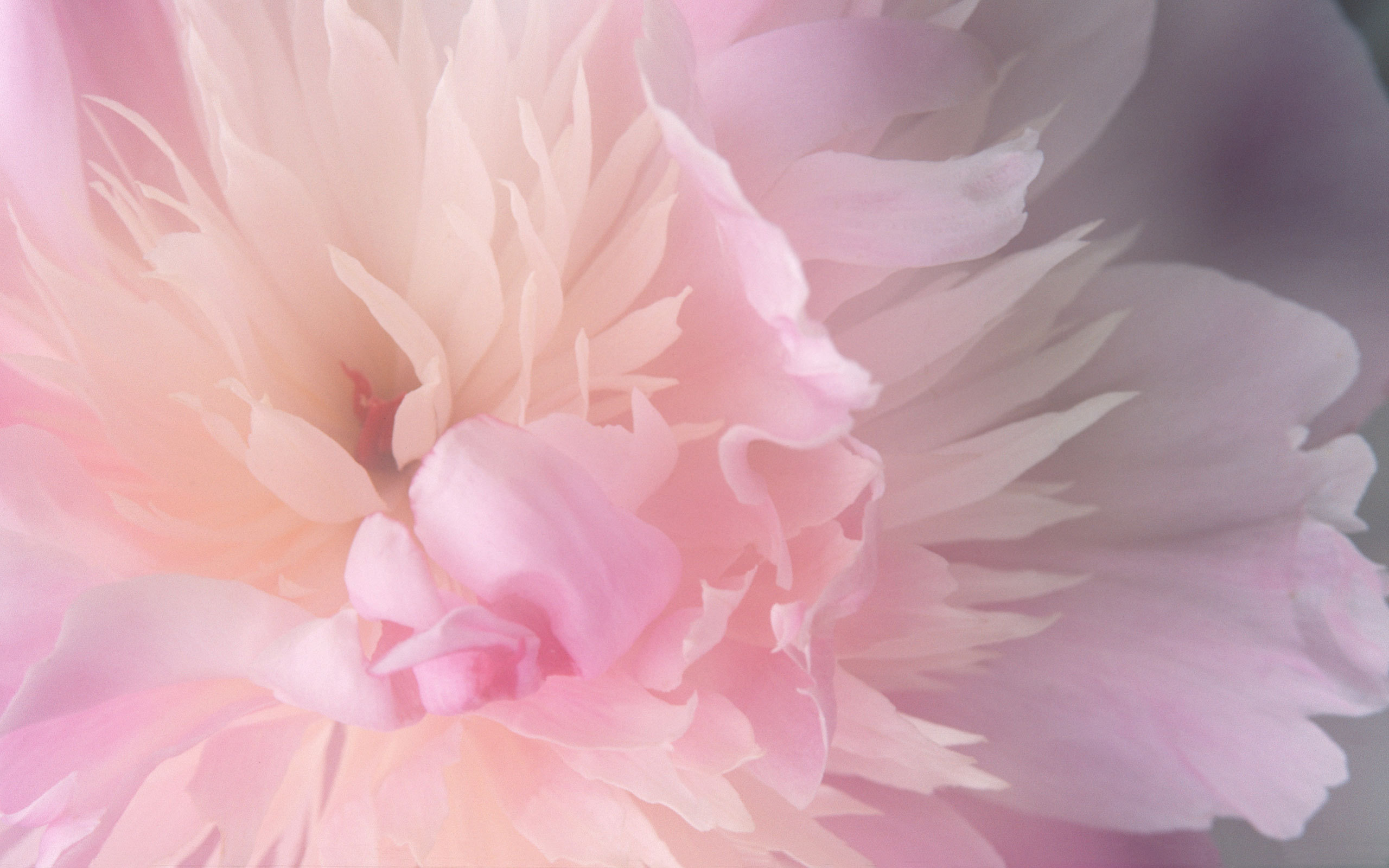 Use 'view image' in your browser to see full size image