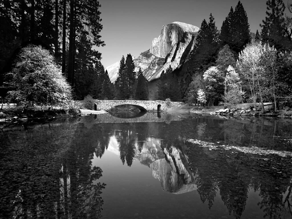 Use 'view image' in your browser to see full size image