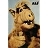 Use 'view image' in your browser to see full size image