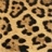 Use 'view image' in your browser to see full size image